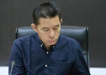 Peran Investor Dalam Pembangunan Pendidikan Daerah