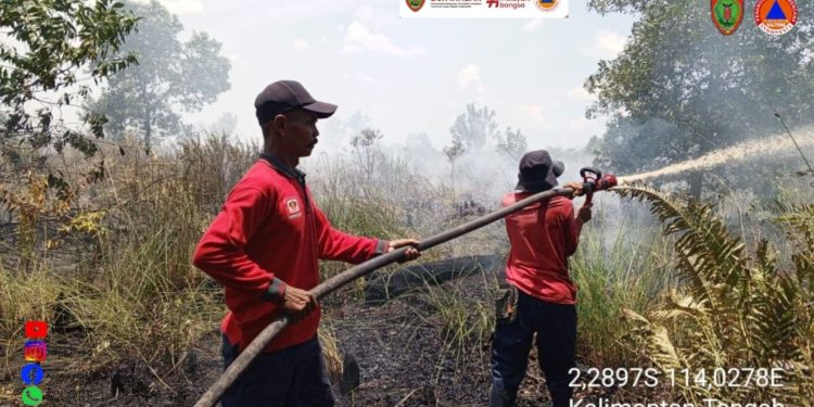 Ahmad Toyib: Wilayah Kalteng Menunjukkan Tingkat Potensi Kemudahan Terjadinya Karhutla Berwarna Merah