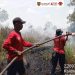 Ahmad Toyib: Wilayah Kalteng Menunjukkan Tingkat Potensi Kemudahan Terjadinya Karhutla Berwarna Merah