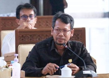 Dewan Apresiasi Realisasi Ambulans Dobel Gardan Untuk Puskesmas