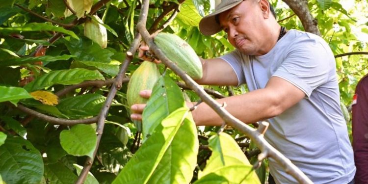 Gubernur Sugianto Sabran Dukung DAS Barito Daerah Pengembangan Kakao