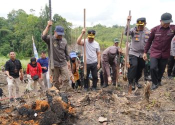 Gubernur Sugianto Sabran Lakukan Penanaman Perdana Padi Gogo di Kecamatan Laung Tuhup