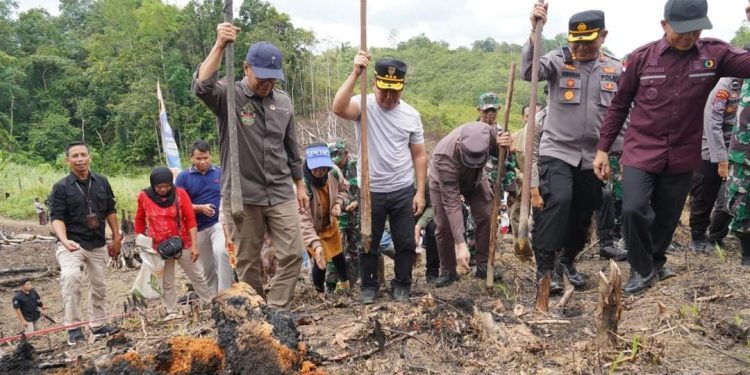Gubernur Sugianto Sabran Lakukan Penanaman Perdana Padi Gogo di Kecamatan Laung Tuhup
