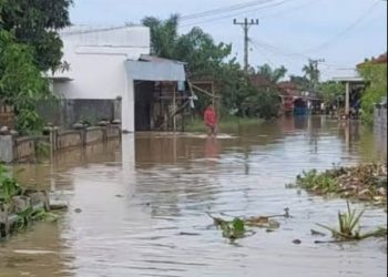 Tak Ubahnya Seperti Sungai, Ratusan Rumah Warga di Bandar Khalifah Banjir