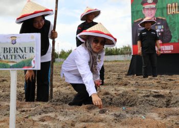 Kadis TPHP Prov.Kalteng Hj. Sunarti Saat Penanaman Jagung Manis