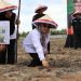 Kadis TPHP Prov.Kalteng Hj. Sunarti Saat Penanaman Jagung Manis
