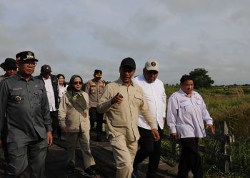 Kunjungan Menteri Pertanian ke Kecamatan Dadahup Dorong Swasembada Pangan