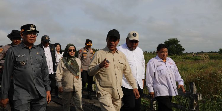 Kunjungan Menteri Pertanian ke Kecamatan Dadahup Dorong Swasembada Pangan