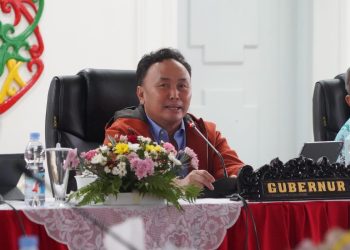 Pemprov Kalteng Segera Bangun Rumah Sakit Kelas A Bertaraf Internasional