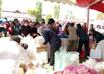 Jelang Natal 2024 dan Tahun Baru 2025, Dinas Hanpang Gelar GPM
