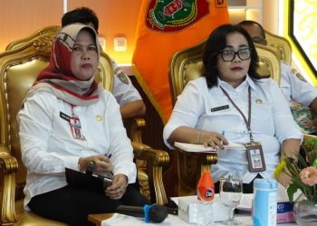 Pemprov Kalteng Ikuti Rapat Penyelesaian Penataan Tenaga Non ASN di Instansi Pemerintah Daerah