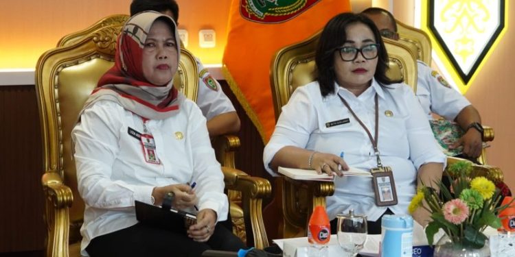 Pemprov Kalteng Ikuti Rapat Penyelesaian Penataan Tenaga Non ASN di Instansi Pemerintah Daerah