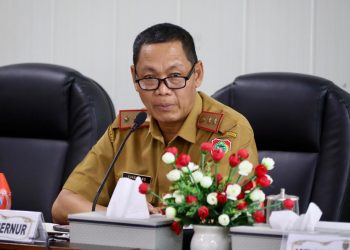 Sahli Gubernur Ikuti Rakor Tinjauan Inflasi dan Indeks Perkembangan Harga M2 Januari 2025