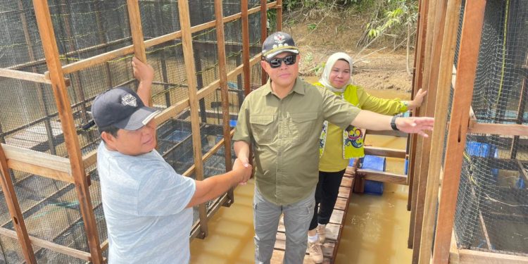 Deddy Winarwan Tinjau Keramba Ikan Milik Warga di Buntok Seberang