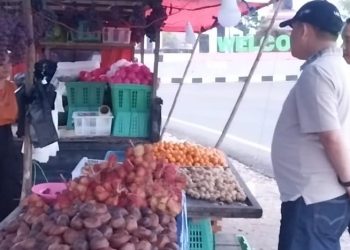 Dukung Keberadaan UMKM dan PKL, Pj. Bupati Barsel Tinjau Fasilitas Publik di Bundaran Sababilah