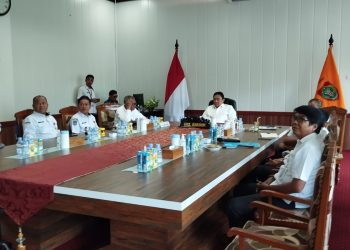 Wagub Kalteng Hadiri secara Virtual Launching Hasil SPI Tahun 2024