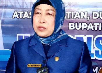 Ketua Dewan Apresiasi Respons Cepat BPBD, Disdamkarmat Serta Relawan Atasi Kebakaran