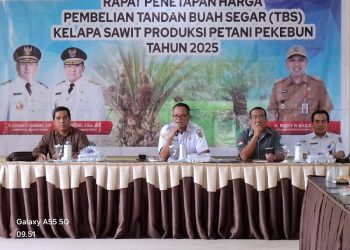 Gelar Rapat Penetapan Harga Pembelian TBS Periode I Bulan Februari 2025, Harga TBS dan CPO Kalteng Naik
