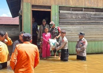 Lima Kabupaten di Kalteng Terdampak Banjir