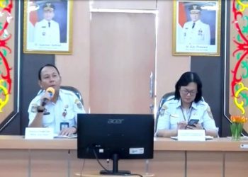 DPMPTSP Prov. Kalteng Kejar Realisasi Investasi Rp25 Triliun