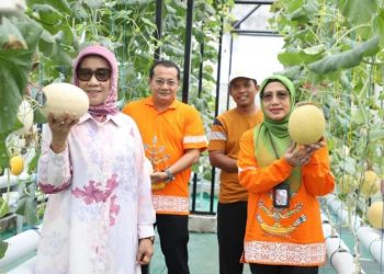 Kadis TPHP Prov. Kalteng Kunjungi Kelompok Petani Melon Hidroponik