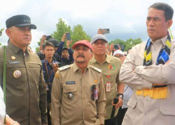 Bupati Sebut Oplah Rawa di Tanah Laut Terealisasi 15.405 Hektar