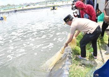 Gubernur Agustiar Sabran Komitmen Dukung Pembangunan Shrimp Estate Berkah