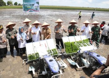 Gubernur Kalteng Hadiri Gerakan Tanam Padi Secara Serentak di 14 Provinsi Sentra Utama Padi dari Desa Lempuyang, Kab. Kotawaringin Timur