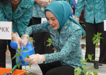 HKG PKK ke-53, TP PKK Kalteng Adakan Kegiatan Pemanfaatan Pekarangan Melalui Aku Hatinya PKK