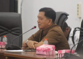 Cek Pasokan dan Harga Sembako, Anggota DPRD Barito Utara Pastikan Ketersediaan di Pasar