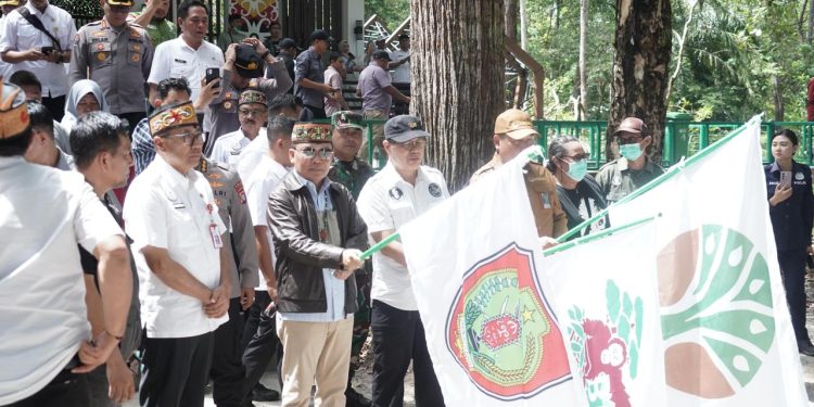 Gubernur Kalteng Pimpin Pelepasliaran Orangutan dan Penanaman Pohon