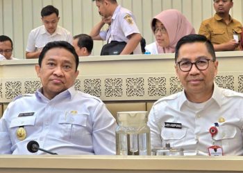 Plt. Sekda Kalteng Dampingi Wagub Hadiri Raker dan RDP Bersama Komisi II DPR RI