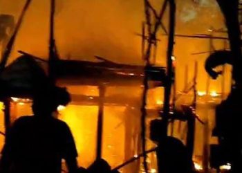 Kandang Peternakan Terbakar, Ribuan Ayam Ikut Terpanggang