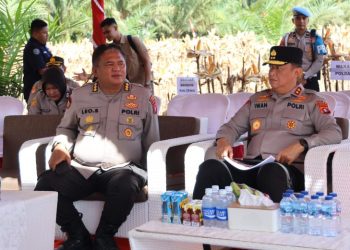 Kapolda Kalteng Tinjau Kesiapan Panen Raya Jagung Serentak di Pulang Pisau