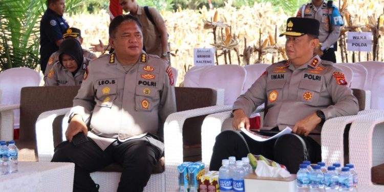 Kapolda Kalteng Tinjau Kesiapan Panen Raya Jagung Serentak di Pulang Pisau
