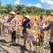 Kapolda Kalteng Bersama Wagub Panen Raya Jagung Serentak Kuartal II di Pulang Pisau
