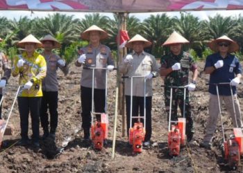 Panen Raya Jagung Serentak Kuartal II-2025, Kalteng Tunjukkan Komitmen Ketahanan Pangan