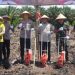Panen Raya Jagung Serentak Kuartal II-2025, Kalteng Tunjukkan Komitmen Ketahanan Pangan