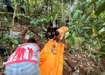 Warga Temukan Tulang Belulang dan Tengkorak Diduga Manusia di Hutan
