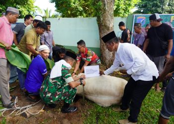 Korem 102/Pjg Gelar Salat Idul Adha dan Potong 24 Kurban di Palangka Raya