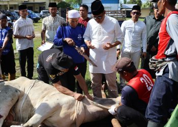 Polda Kalteng Sembelih 64 Hewan Kurban Usai Salat Idul Adha 1446 H