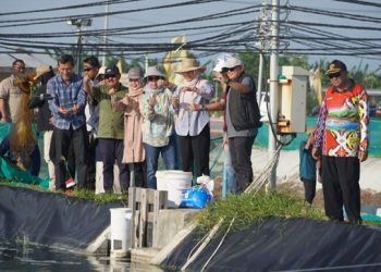 Gubernur Kalteng Dorong Shrimp Estate Jadi Motor Penggerak Ekonomi Daerah