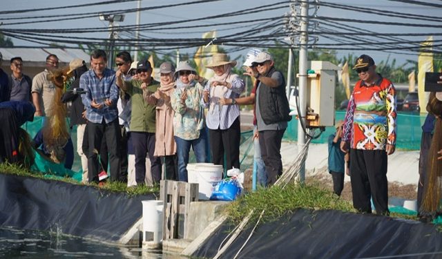 Gubernur Kalteng Dorong Shrimp Estate Jadi Motor Penggerak Ekonomi Daerah