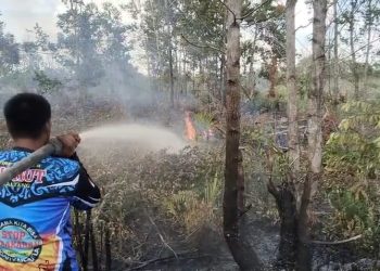 Tim Dishut Kalteng Padamkan Kebakaran Lahan Gambut di Palangka Raya