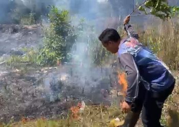Lahan Terbakar dan Meluas di Kapuas, Pemadaman Tim Dishut Kalteng Terkendala Sumber Air
