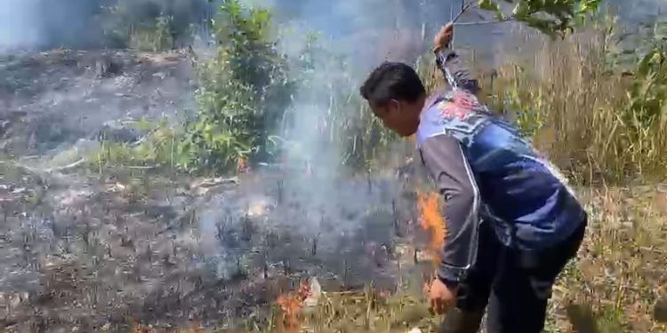 Lahan Terbakar dan Meluas di Kapuas, Pemadaman Tim Dishut Kalteng Terkendala Sumber Air