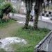 Terekam CCTV Aksi Pencurian Anjing di Palangka Raya Gagal, Usai Kepergok Pemilik Rumah