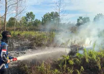 Cuaca Panas Picu Kebakaran Lahan Hampir Setengah Hektar di Palangka Raya