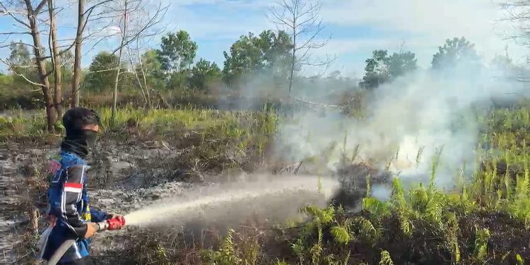 Cuaca Panas Picu Kebakaran Lahan Hampir Setengah Hektar di Palangka Raya