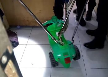 Ngeri! Ular Piton Sepanjang 1,5 Meter Ditemukan Bersembunyi di Mainan Anak